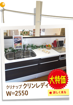 クリナップ　クリンレディ